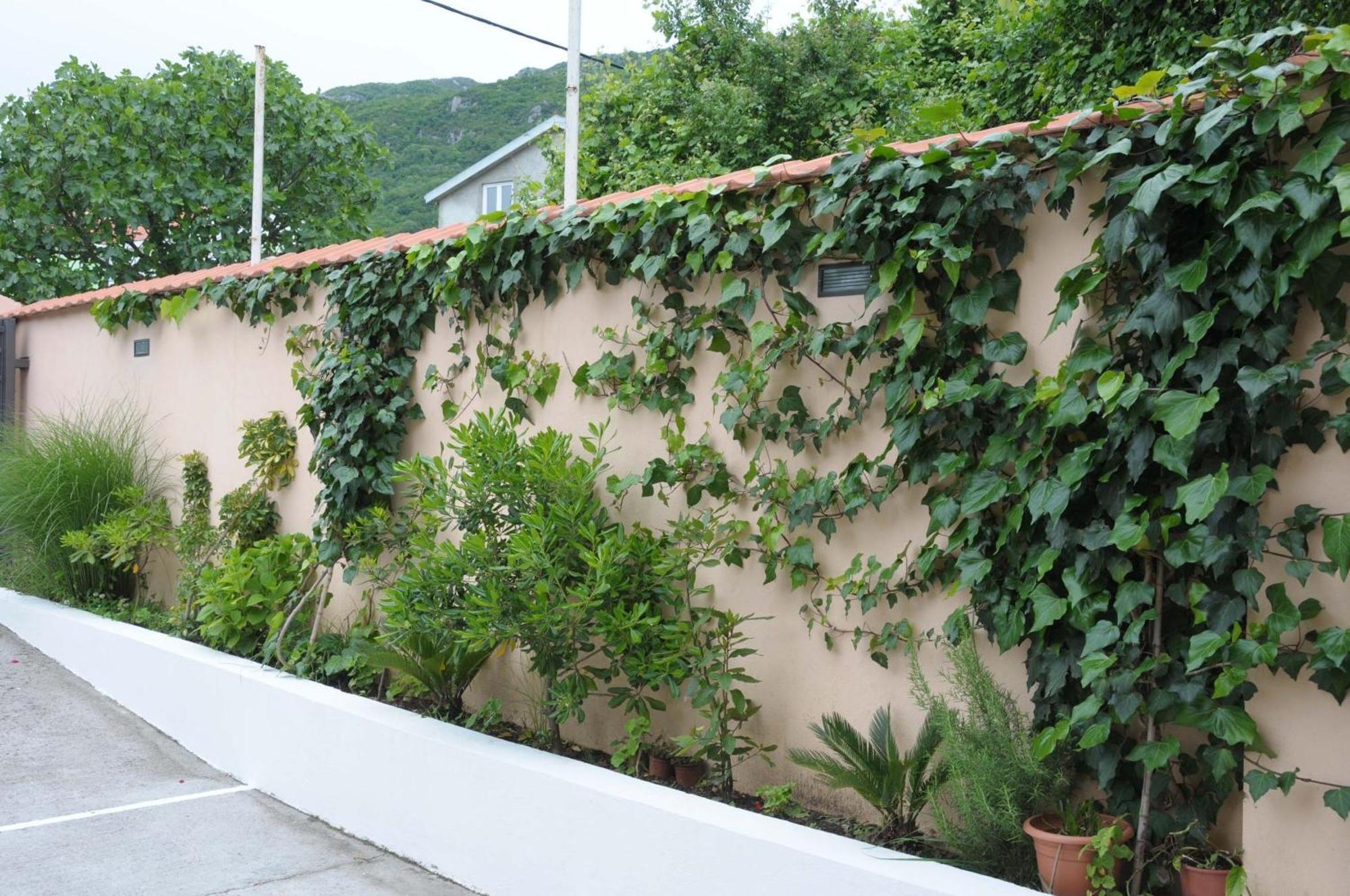 Apartments Royal Budva Eksteriør billede